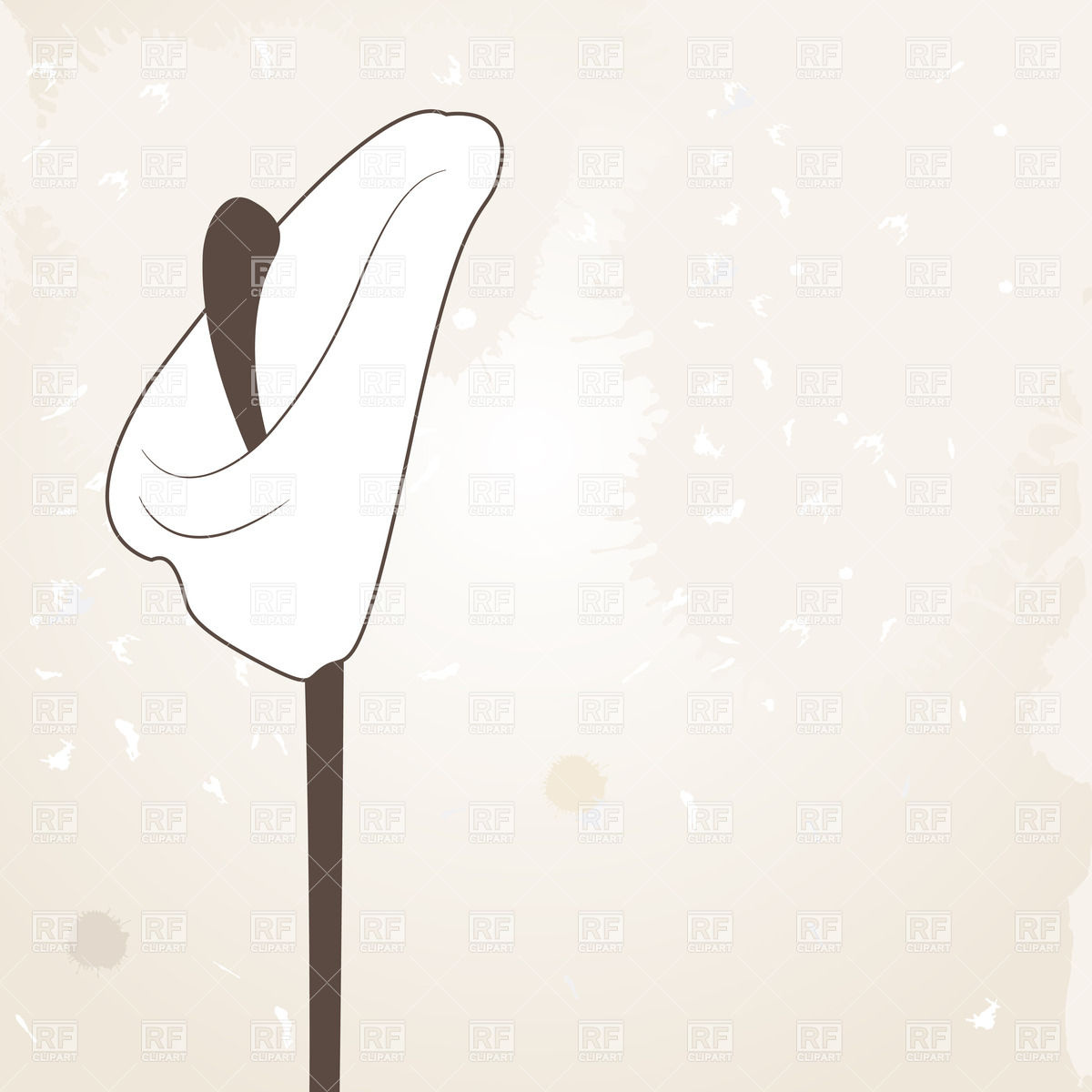 Simple Calla Lily Bud Download Royalty Free Vector Clipart  Eps 