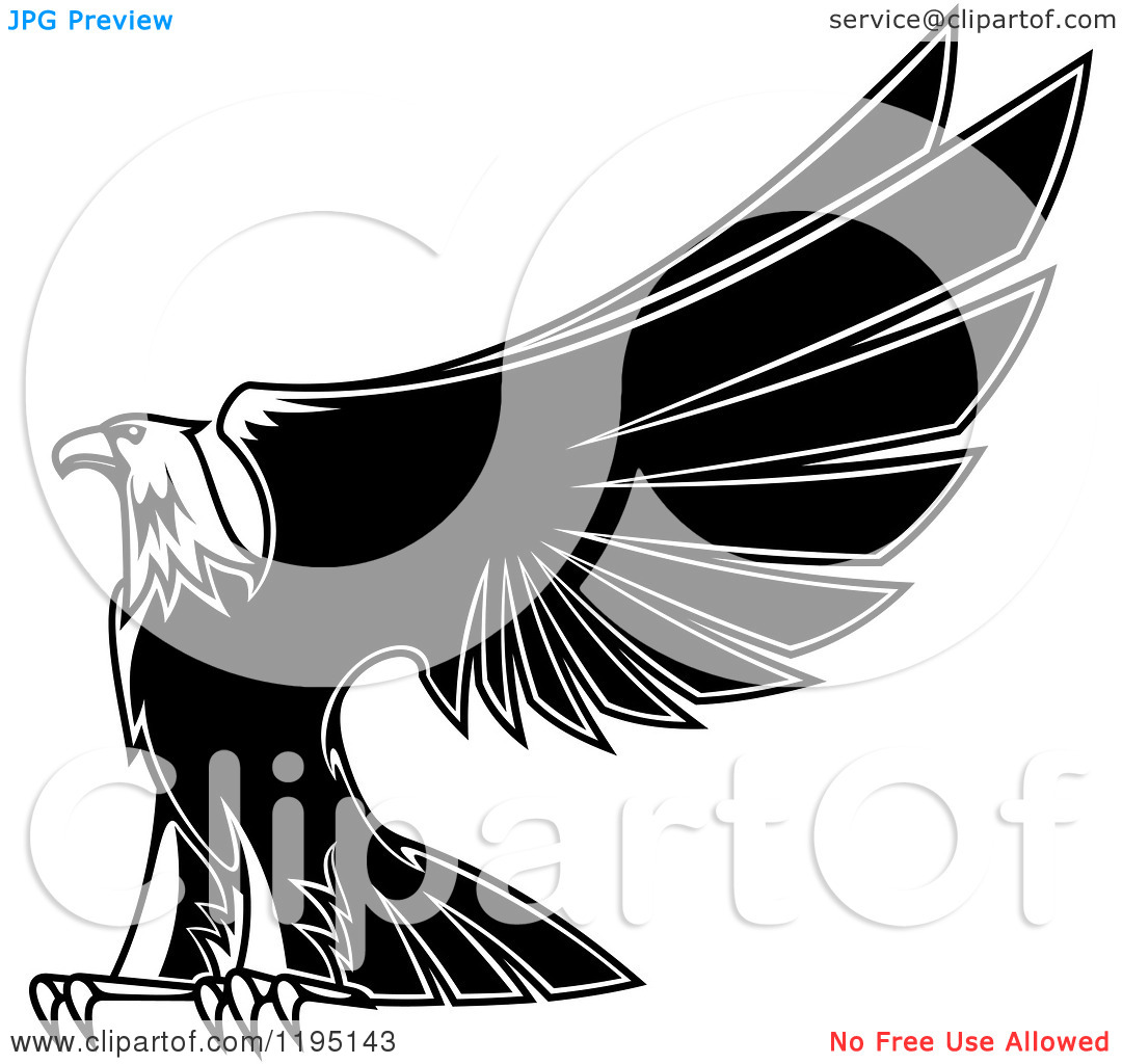 Clipart Of A Black And White Eagle Lifting His Wings 3   Royalty Free
