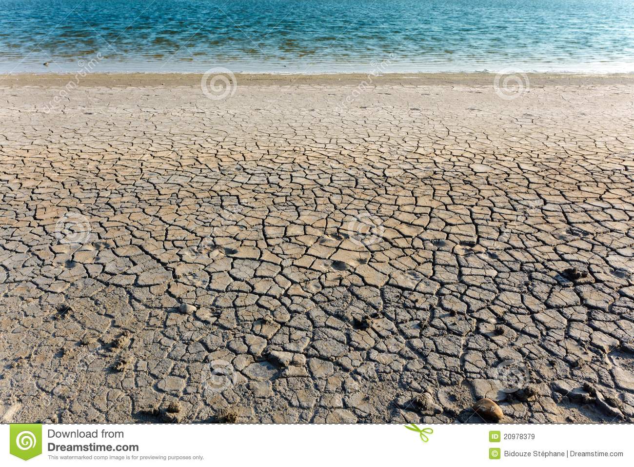Dry Soil And Water Royalty Free Stock Images   Image  20978379