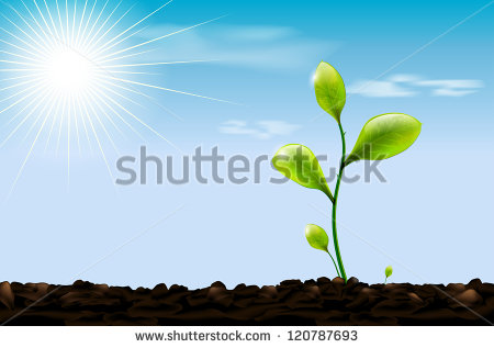 Green Sprout  Soil And Blue Sky With Sun And Clouds   Vector File    
