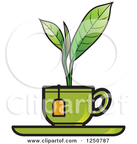 Royalty Free Plant Illustrations By Lal Perera  1