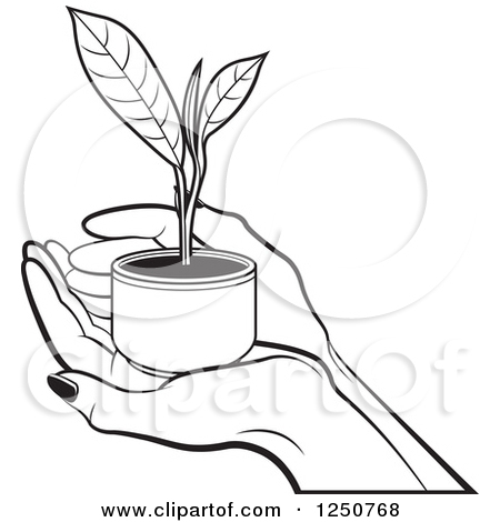 Royalty Free  Rf  Illustrations   Clipart Of Tea Leaves  1