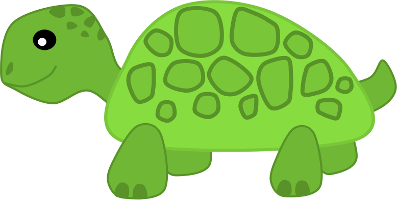 Turtle By Scout