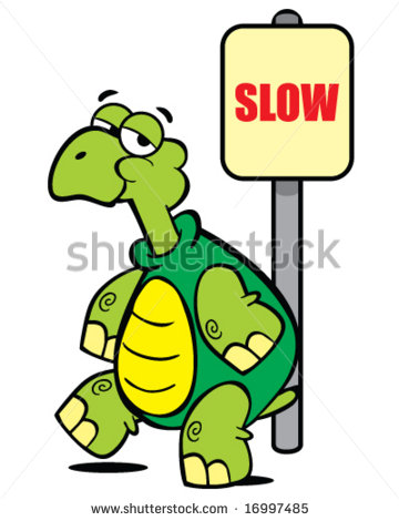 Vector Land Turtle In Front Of Slow Sign   16997485   Shutterstock