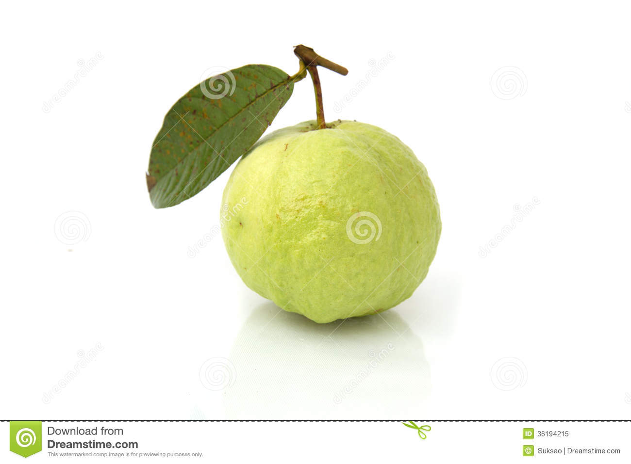 Green Guava And Reflect On A White Background