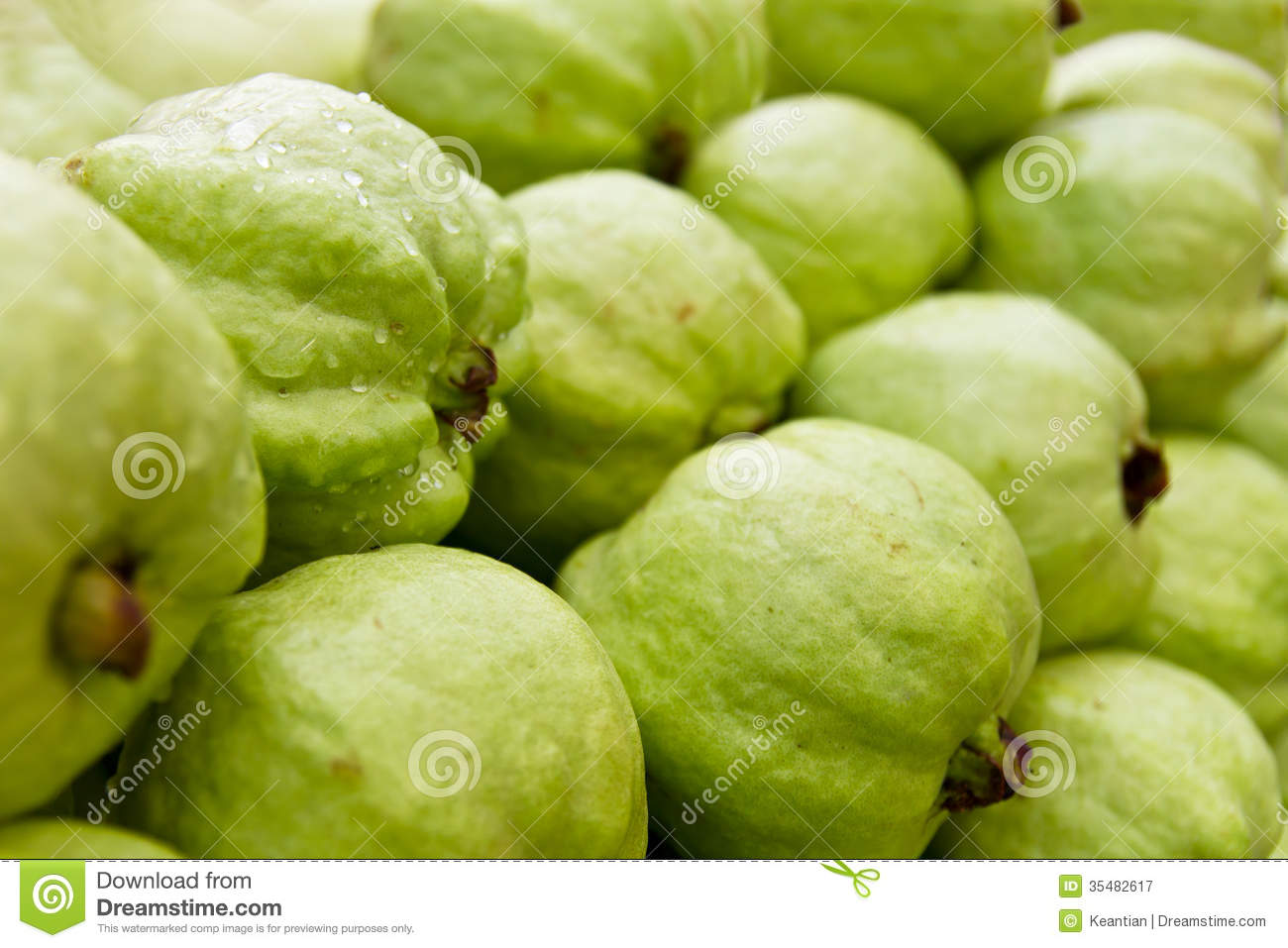 Green Guava Royalty Free Stock Photography   Image  35482617
