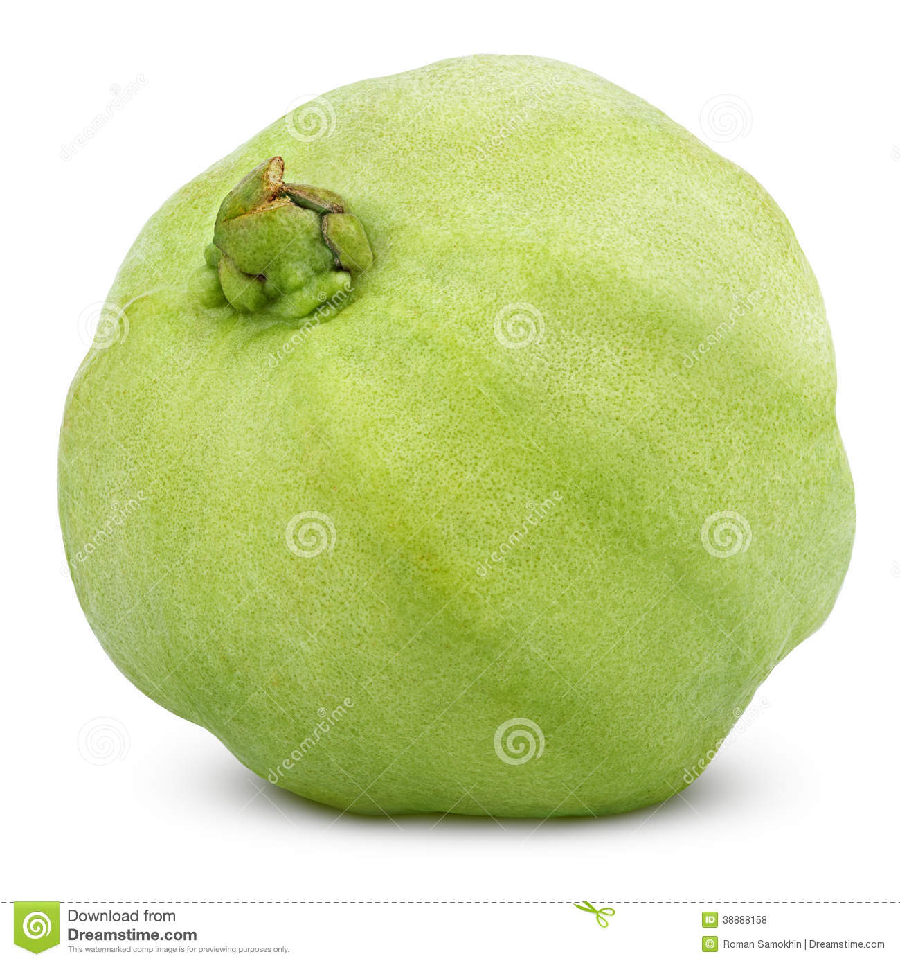 Single Green Guava Isolated On White Stock Photo   Image  38888158