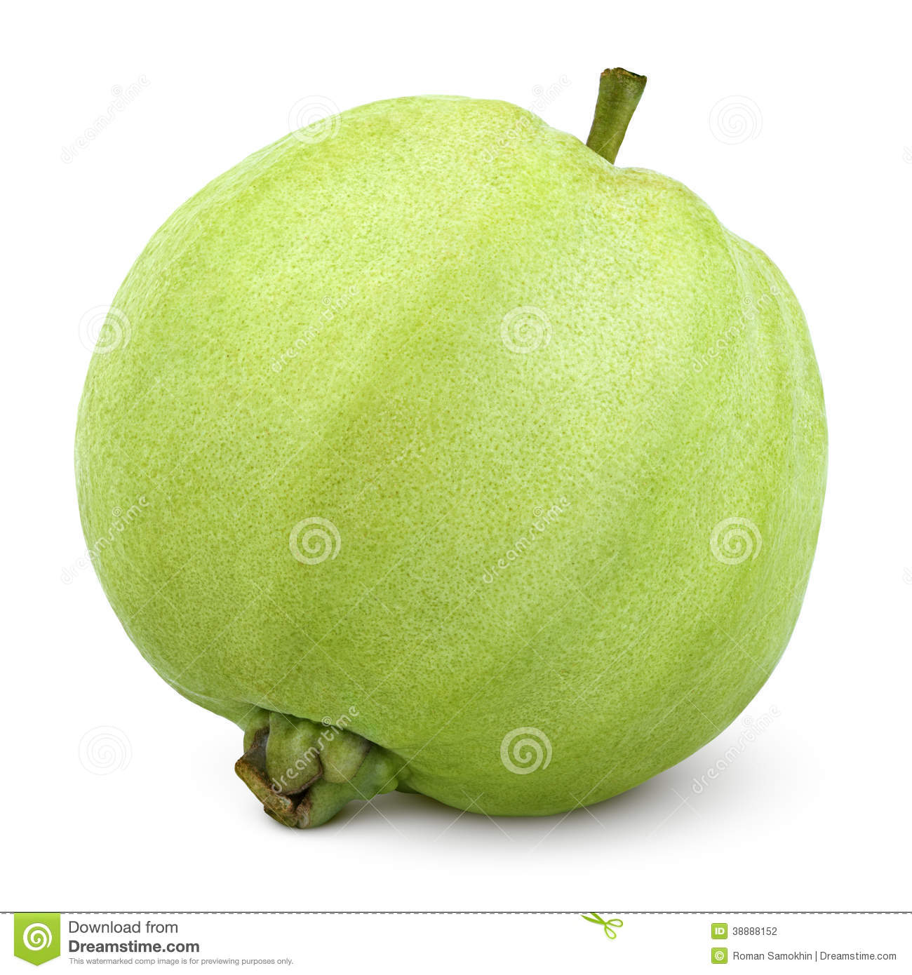 Single Green Guava Isolated On White With Clipping Path