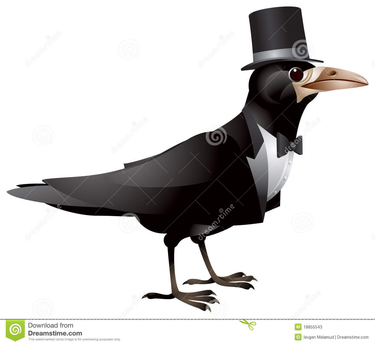 Bird Dressed In And Top Hat  Silk Hat Cylinder Hat  Rook Or Raven As    