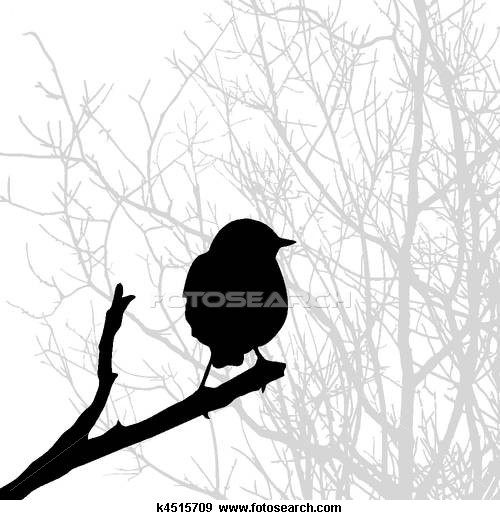 Bird On Branch Clipart   Graphics Transfers   Printables   Pinterest