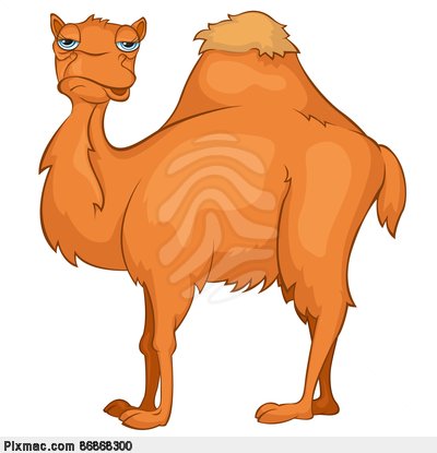 Cartoon Character Camel Camel Pixmac Clipart 86868300