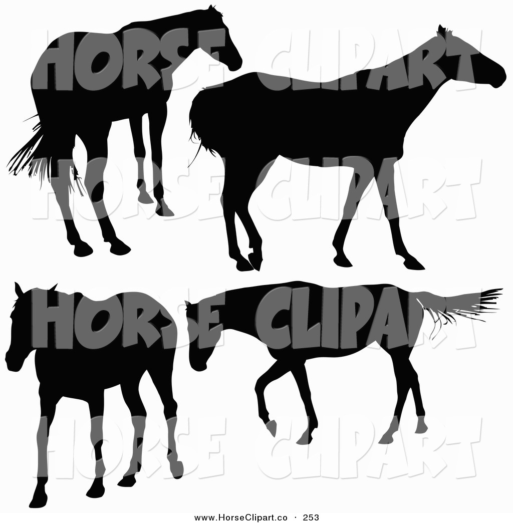 Exploring Horseclipart Co Images   Crazy Gallery