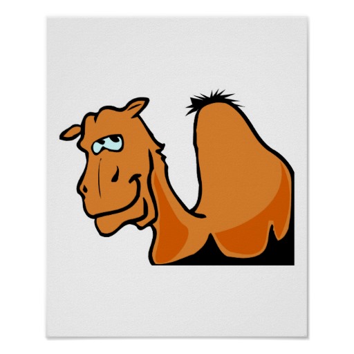 Happy Camel Stock Photo Image