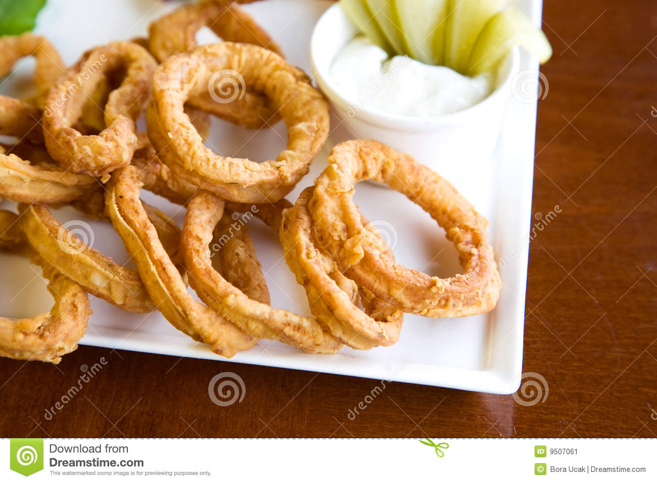 Onion Rings Stock Image   Image  9507061