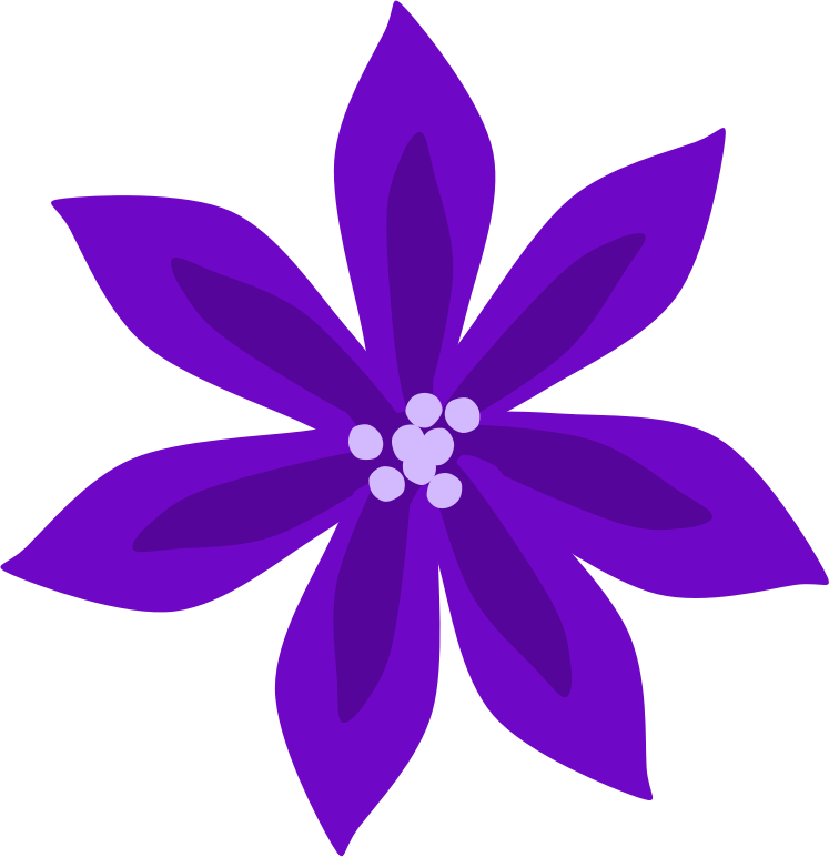 Purple Lily By Scout   A Purple Lily