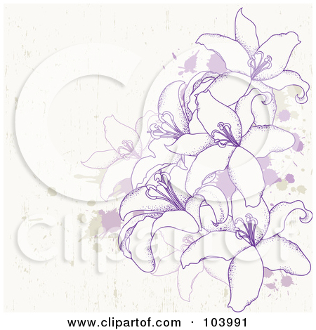 Royalty Free  Rf  Lily Flower Clipart   Illustrations  1