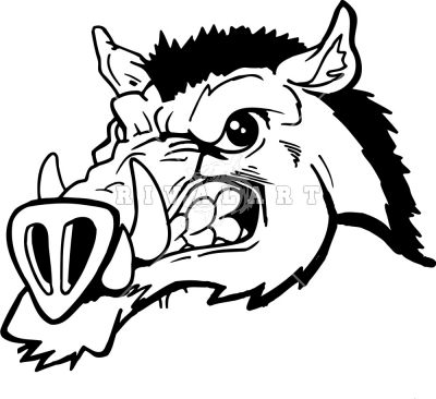 Wild Boar Head Drawing Wild Boars Graphic