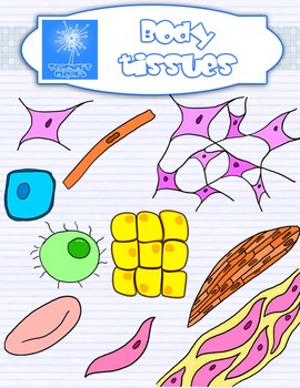 Else You Can Find    Plant And Animal Cell And Tissues Clipart Clipart