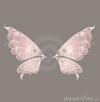 Fairy Wings Royalty Free Stock Photography   Image  6650647
