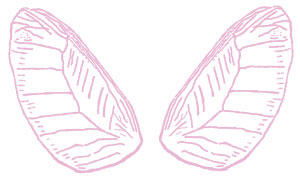 Free Pink Fairy Wings Graphic Delicate Fairy Wings Clip Art With Pink    