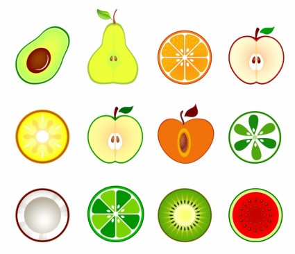 Fruit Cut In Half Free Vector In Adobe Illustrator Ai    Ai