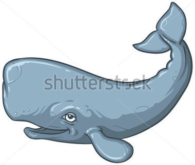 Happy Sperm Whale Stock Vector   Clipart Me