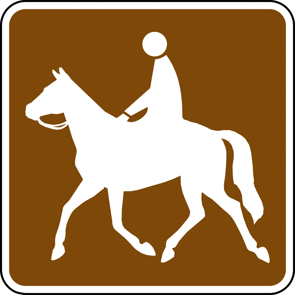 Horse Trail Color