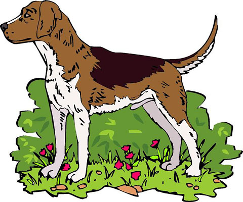 Hunting Dog Clipart   Free Cliparts That You Can Download To You