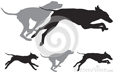 Hunting Dogs Run Vector Silhouettes Stock Photography   Image    