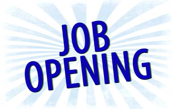 Job Openings For Chartered Accountants   Manager Finance At Chennai