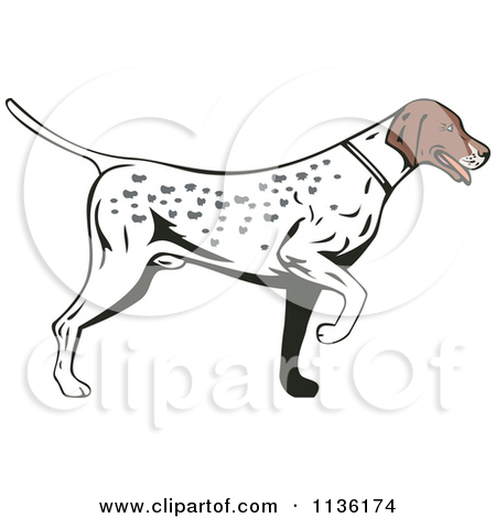 Royalty Free  Rf  Hunting Dog Clipart   Illustrations  1
