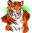 Tiger Tigers Search Terms Animals Animals Fangs Mascot Tiger Tigers
