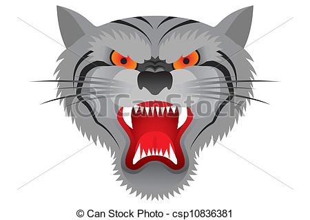Vector Of Tiger Face   Tiger Head With An Open Mouth And Bared Fangs