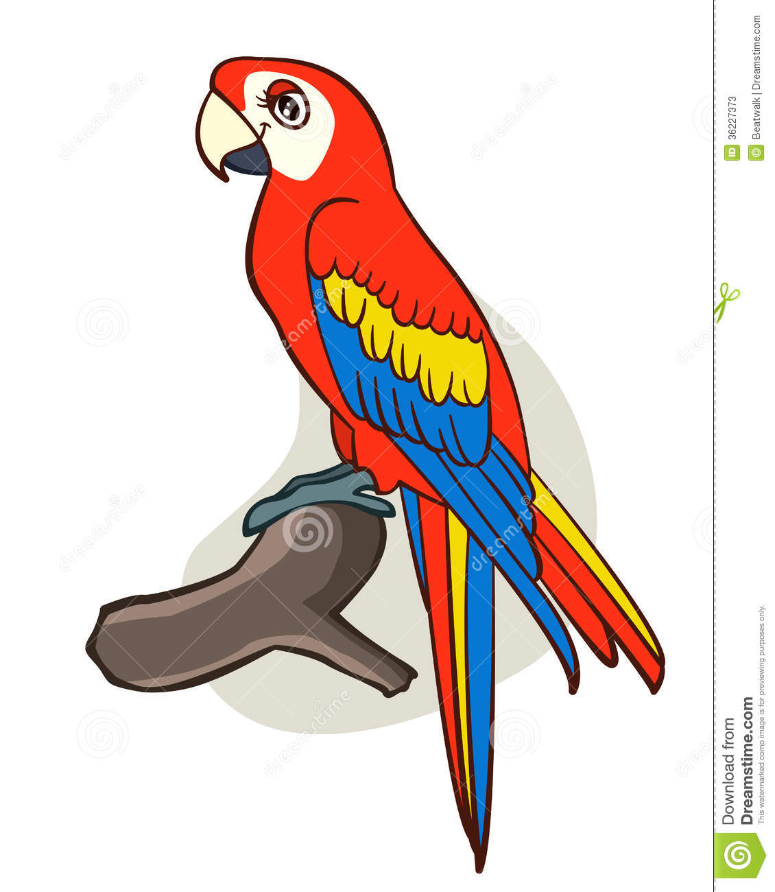 Cute Parrot Clipart Cartoon Parrot Cute Isolated White Background