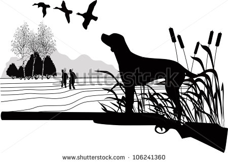 Dogs Of A Duck Hunt Nature A Vector The Gun On A White Background Is