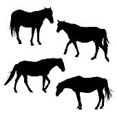 Equestrian Silhouette Illustrations