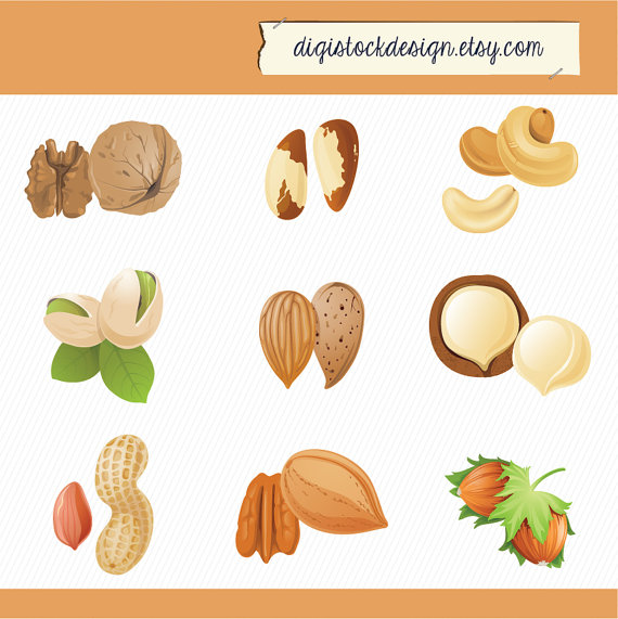 Nuts Illustration Clipart  Peanuts Cashews Walnuts Chestnuts Pecan