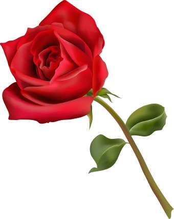     Roses With Thorns And Dead Vines   Clipart Panda   Free Clipart Images