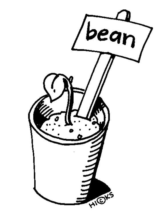 Bean Sprout   Clip Art Gallery