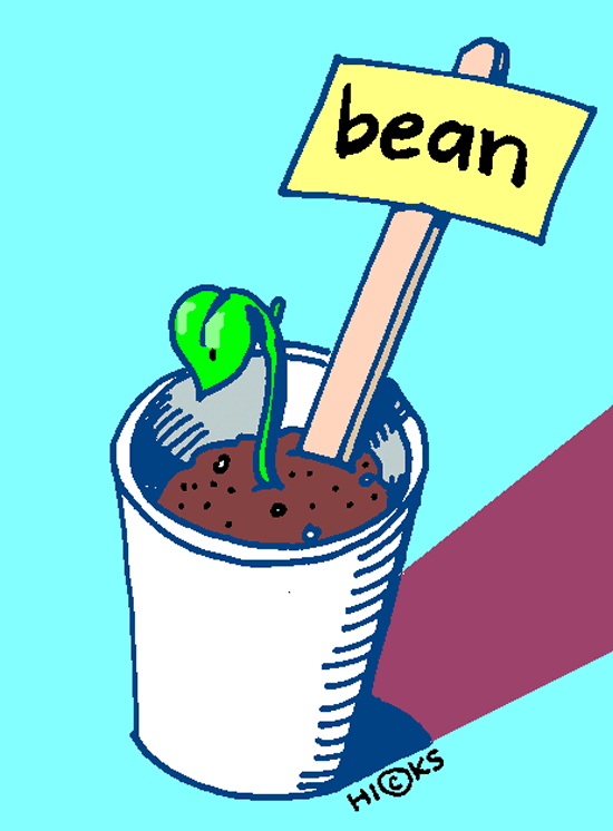 Bean Sprout  In Color    Clip Art Gallery