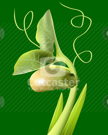 Bean Sprout Stock Vector Clipart Bean Sprout On A Green Background By