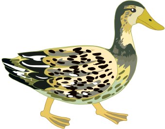 Duck Clipart Image   Clipart Panda   Free Clipart Images