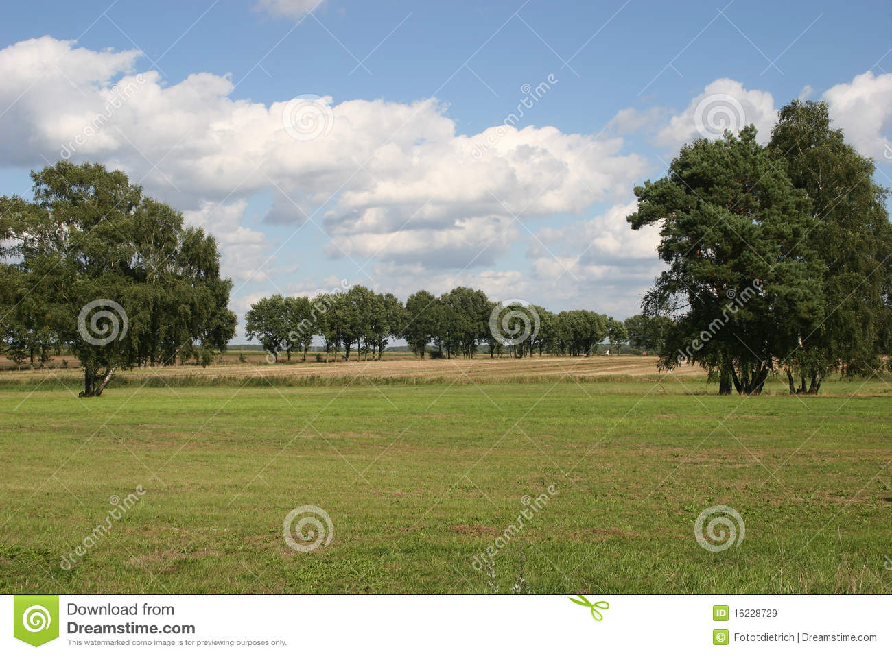 Late Summer Landscape Royalty Free Stock Images   Image  16228729