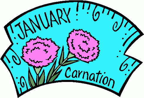 01 January   Carnation 2 Clipart   01 January   Carnation 2 Clip Art