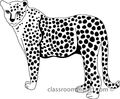 Cheetah Clipart   Cheetah 327 2bb Outline   Classroom Clipart