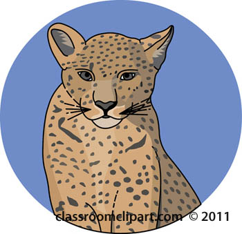 Cheetah Face Clipart