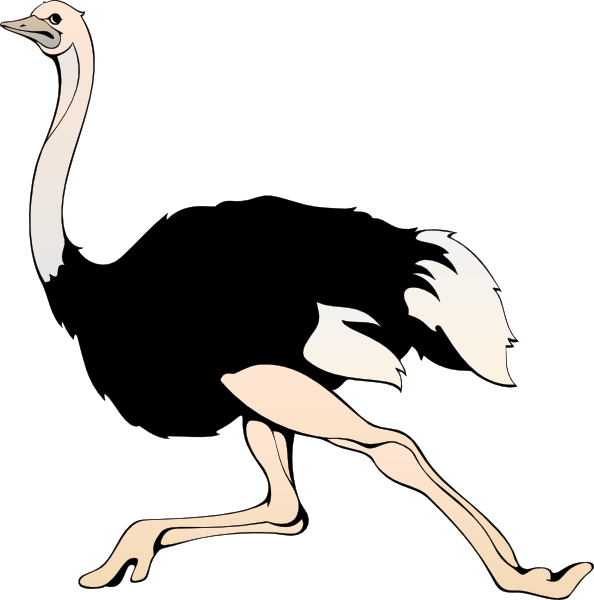 Running Ostrich Clip Art