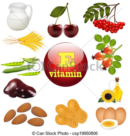 Vektor Clipart Von Abbildung Vitamin E Ursprung Pflanze Essen