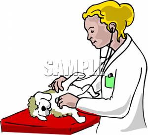 Vet Clipart Veterinarian Examining Dog Royalty Free Clipart Picture    