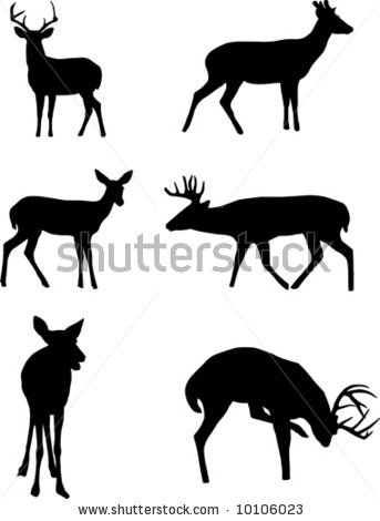 Baby Deer Silhouette   Clipart Panda   Free Clipart Images